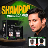 Shampoo cubrecanas